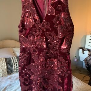 Red Velvet Sequin Mini Dress
